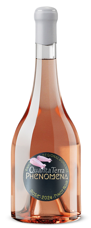 Phenomena - 50 Great Rose Wines of the World 2026 by Wine Pleasures