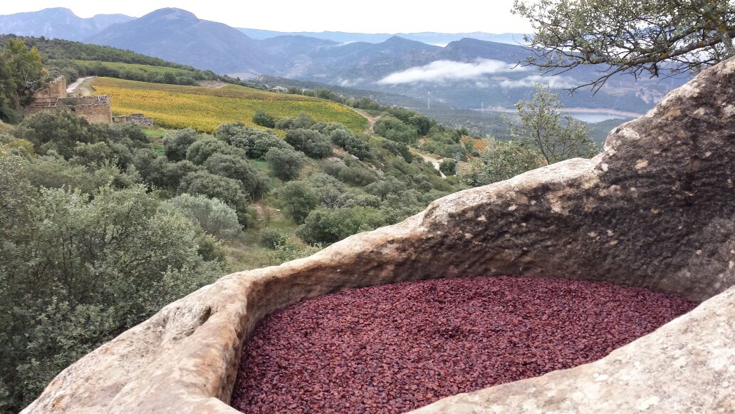 Wine Pleasures Sustainable & Artisan International B2B Workshop 2027